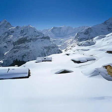 Sans Souci W1 By Interhome Apartamento Grindelwald