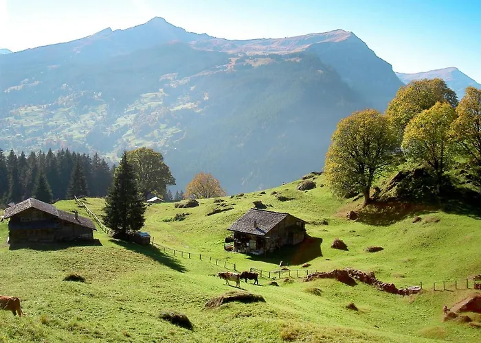 Appartement Sans Souci By Interhome *